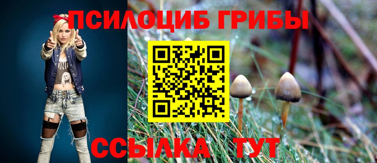 купить  цена  Вход с VPN  Зеленодольск  Псилоцибиновые грибы GOLDEN TEACHER 