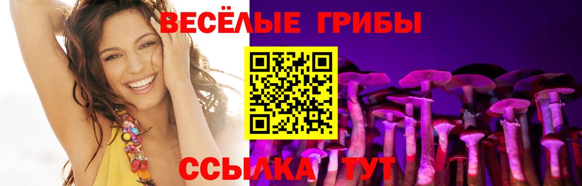 Псилоцибиновые грибы Psilocybine cubensis Зеленодольск